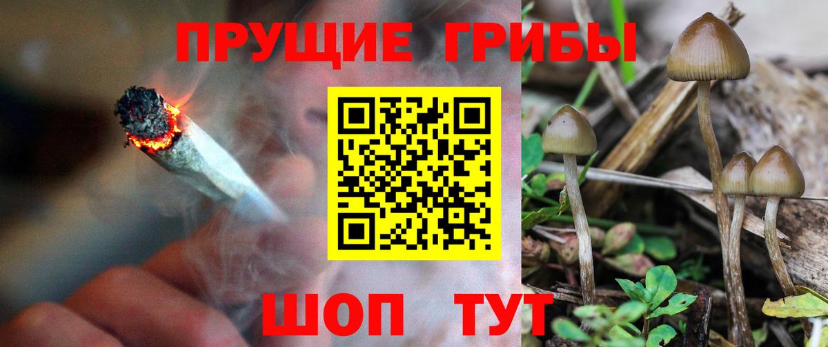 Белогорск  Псилоцибиновые грибы Magic Shrooms  Вход с VPN 