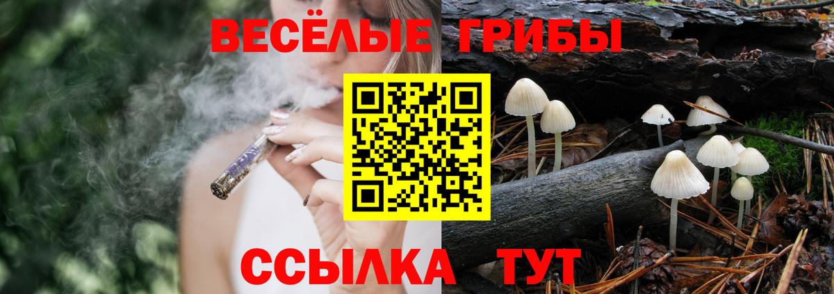 Галлюциногенные грибы мицелий Белогорск